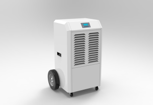 Αφυγραντήρας Φιλιππίνων 220V 60Hz